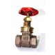 GM Gate Valve Forged Gun Metal Screwed ISI Marked